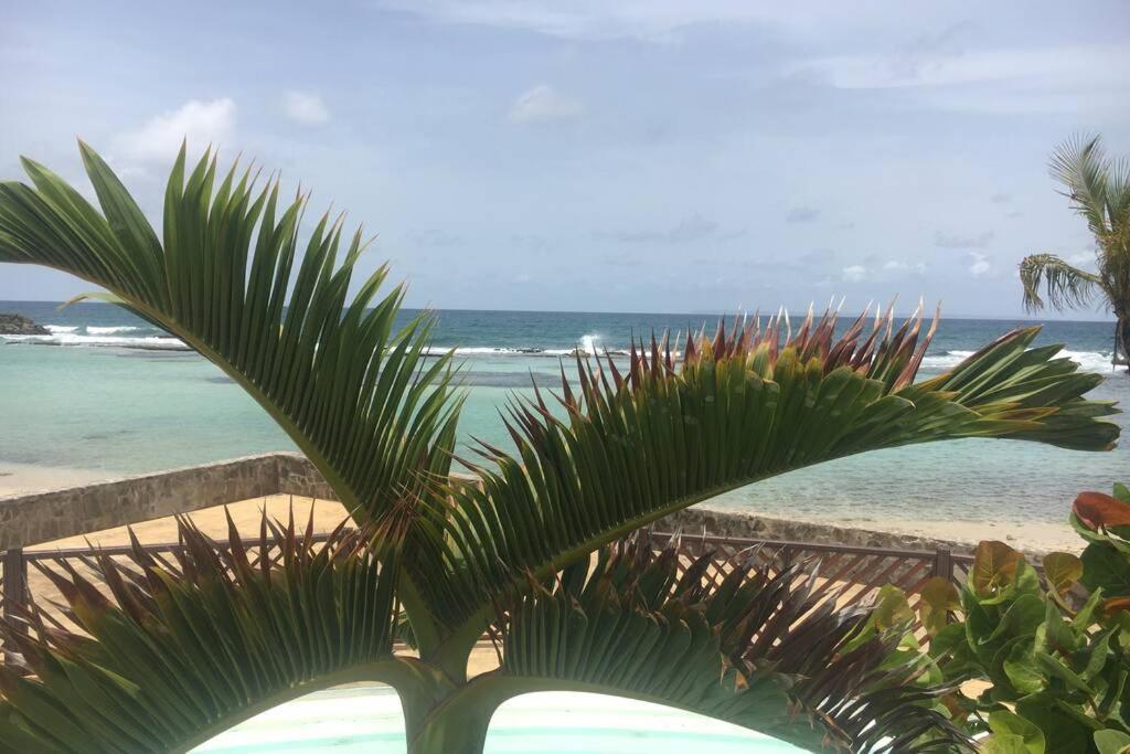 Superbe Studio Superieur Neuf Avec Balcon Saint-Francois (Grande-Terre) Exterior foto